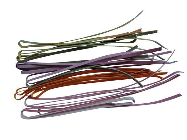 Tagliolini Arlecchino